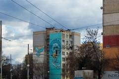 Блокова галерия в София – една осъществена мечка на Nasimo