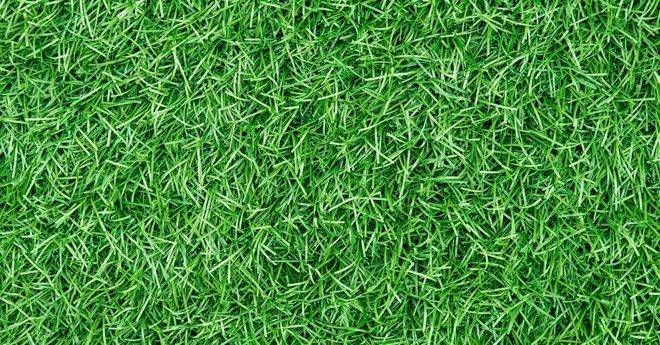 Цена на различните видове изкуствена трева за дворове