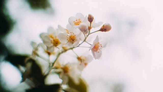 Дневен хороскоп за 06 март 2022г. – Хороскопи за всяка зодия – народна медицина, здраве, астрология, съдби, секс и зодии