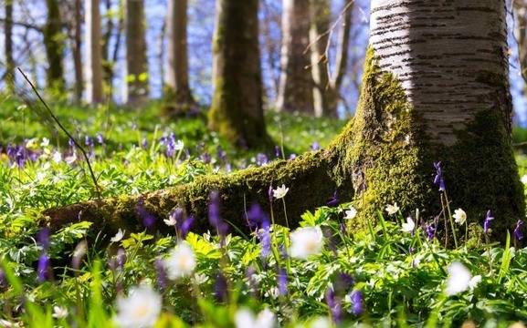 Дневен хороскоп за 07 март 2022г. – Хороскопи за всяка зодия – народна медицина, здраве, астрология, съдби, секс и зодии