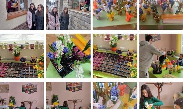 Първите пролетни цветя грейнаха в оранжерията на ПГ по МСС в Разлог