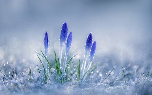 Дневен хороскоп за 20 март 2022г. – Хороскопи за всяка зодия – народна медицина, здраве, астрология, съдби, секс и зодии