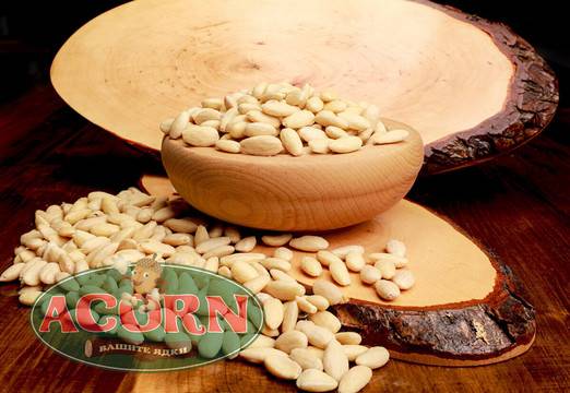 Сурови ядки Архиви – Търговия със сушени плодове и ядки на едро София