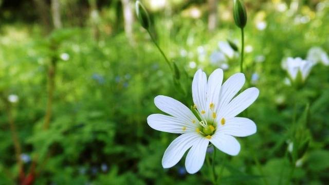 Дневен хороскоп за 28 март 2022г. – Хороскопи за всяка зодия – народна медицина, здраве, астрология, съдби, секс и зодии