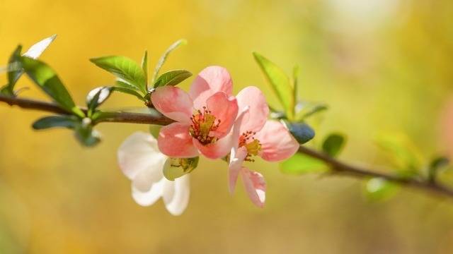 Дневен хороскоп за 02 април 2022г. – Хороскопи за всяка зодия – народна медицина, здраве, астрология, съдби, секс и зодии