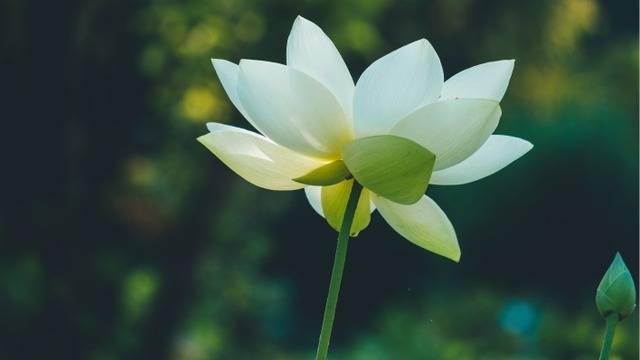 Дневен хороскоп за 05 април 2022г. – Хороскопи за всяка зодия – народна медицина, здраве, астрология, съдби, секс и зодии