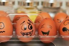 JUST EGG не може да бъде европейска марка за заместители на яйца