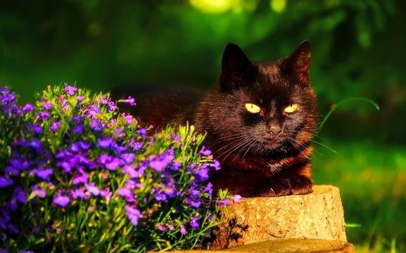 Дневен хороскоп за 27 април 2022г. – Хороскопи за всяка зодия – народна медицина, здраве, астрология, съдби, секс и зодии