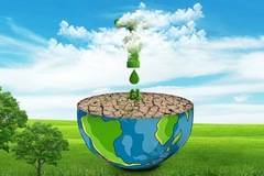 Кои храни увреждат зъбния емайл?