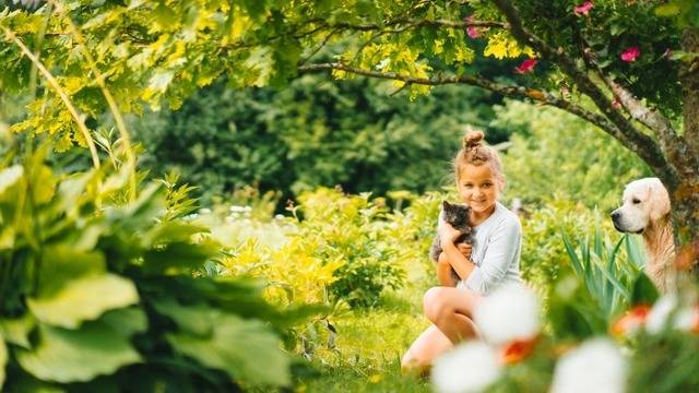 Дневен хороскоп за 05 май 2022г. – Хороскопи за всяка зодия – народна медицина, здраве, астрология, съдби, секс и зодии