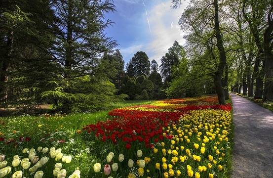 Дневен хороскоп за 08 май 2022г. – Хороскопи за всяка зодия – народна медицина, здраве, астрология, съдби, секс и зодии