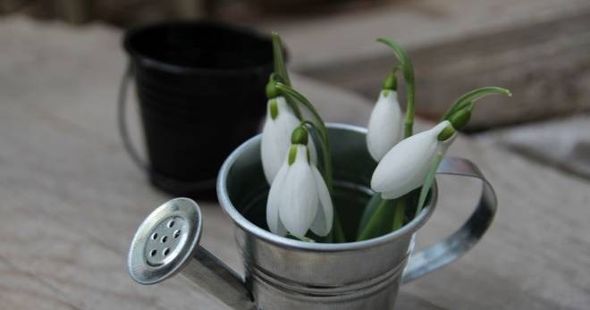 Актуални обяви за свободни работни места в Кюстендил и Дупница, обявени от Бюрото по труда