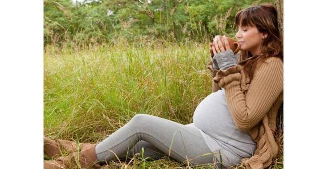 Кои билки трябва да се избягват по време на бременност?