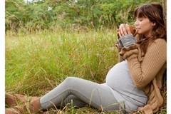 Кои билки трябва да се избягват по време на бременност?