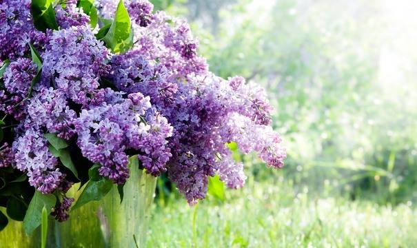 Дневен хороскоп за 18 май 2022г. – Хороскопи за всяка зодия – народна медицина, здраве, астрология, съдби, секс и зодии