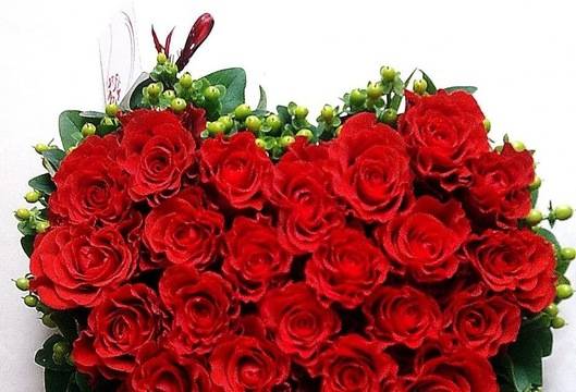 Как да се грижим за розите в градината?