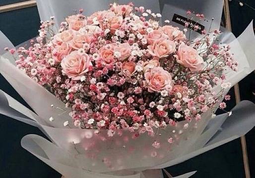 Всичко за розите – грижи и отглеждане