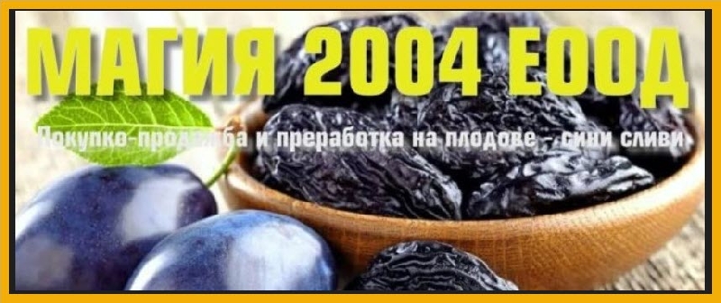 Магия 2004 ЕООД – компанията с мисия за развиване на родната земеделска продукция