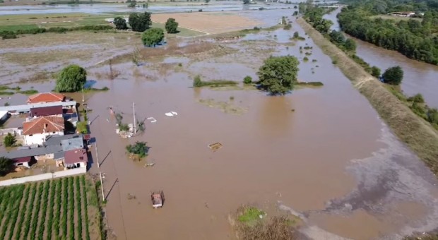 Пловдивчанка: Трилистник е отцепен! Отврат и погнуса е това жалко подобие на държава