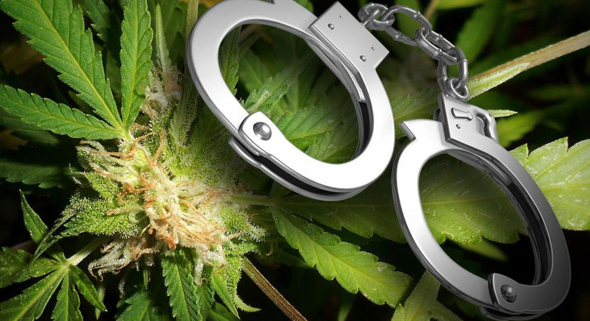 Арестуваха мъж, отглеждал марихуана в Русе – Europost