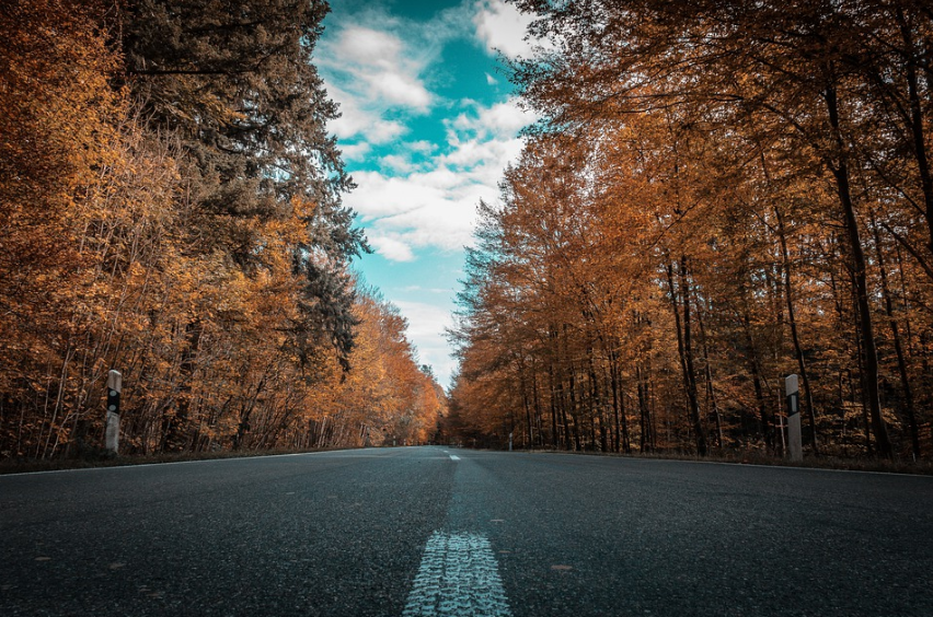 4 фактора за спокойствие през есента на пътя с личния Ви автомобил