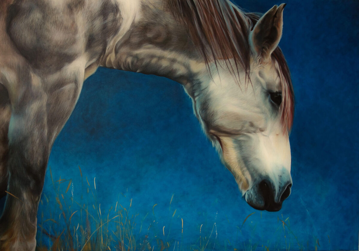 Блог за Mакедония | Makedonian Times