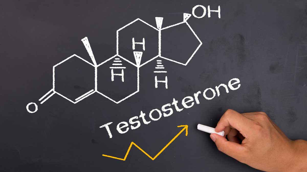 Тестостерон – роля в женското репродуктивно здраве