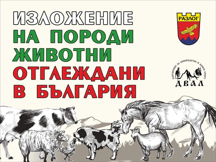 В Разлог ще се проведе изложение на породи животни отглеждани в България  Разлогинфо.com