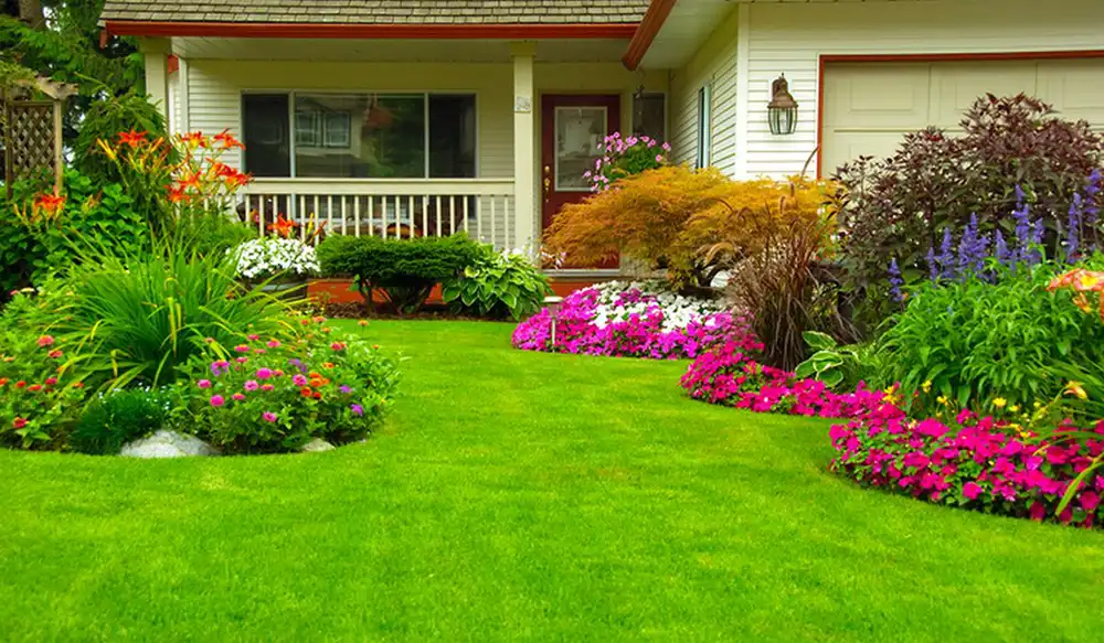 Градински цветя, многогодишни и полски растения – Home Design