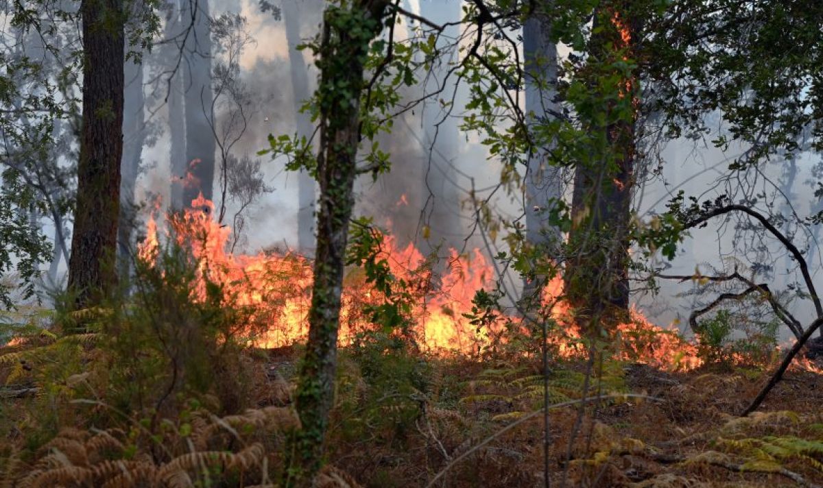 Овладян е пожар между ямболски села