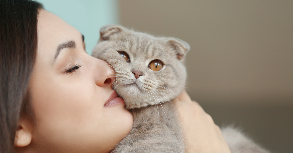 Защо обичаме котките и защо това е полезно за нас?