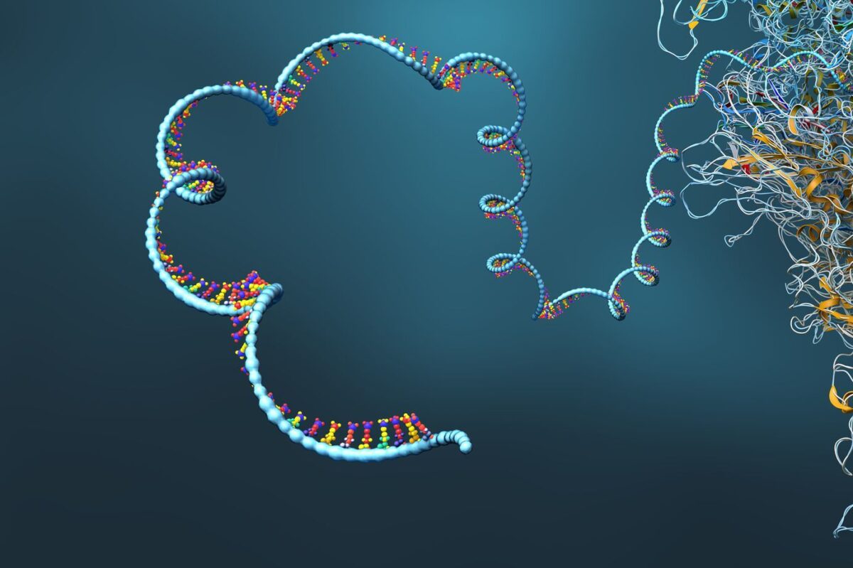 Накъде отива РНК-технологията