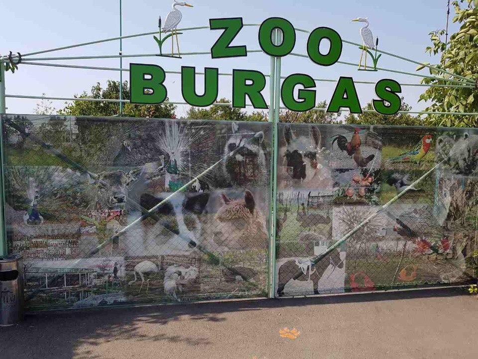 Десетки новородени животни се появиха в бургаския зоопарк