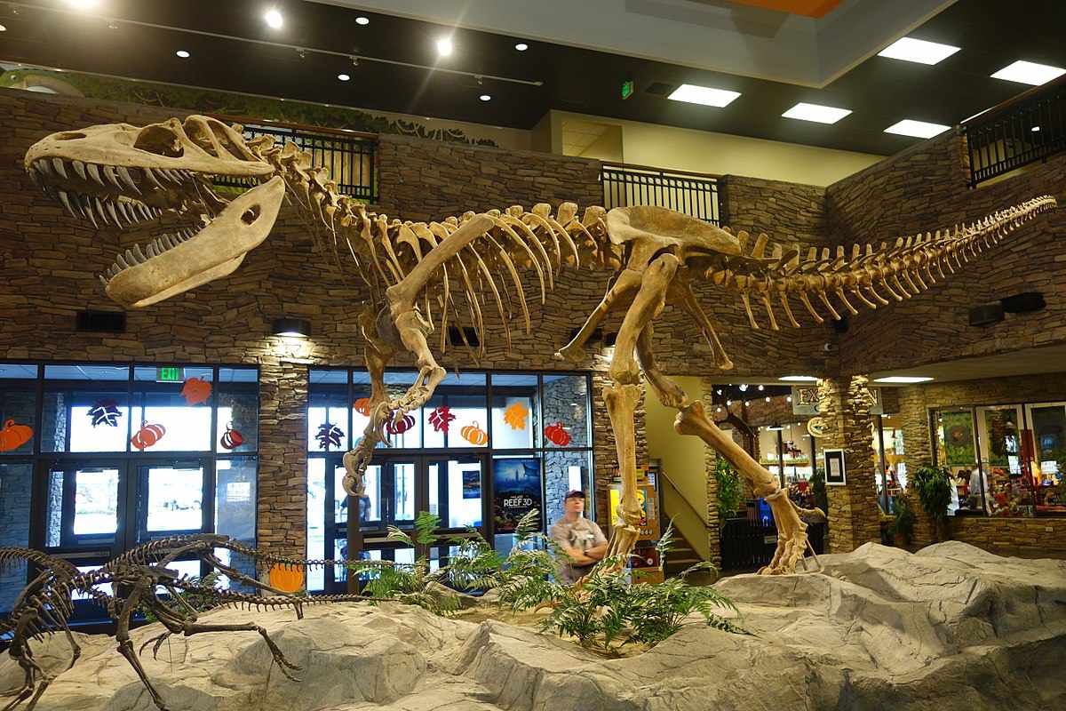 Мегалозавър: 200 години от откриването на първия динозавър