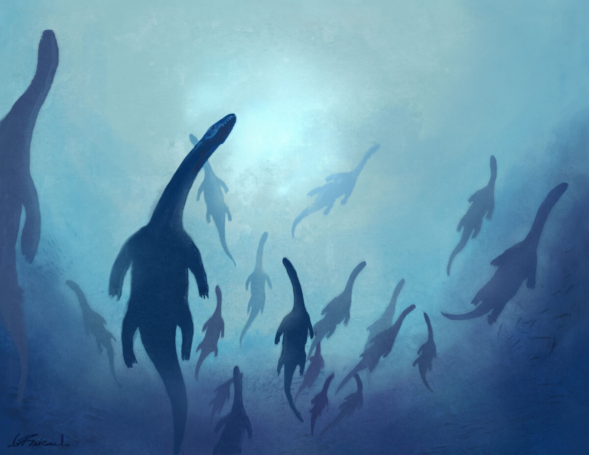 Фосил на 250 милиона години разкрива нов момент от еволюцията в океана