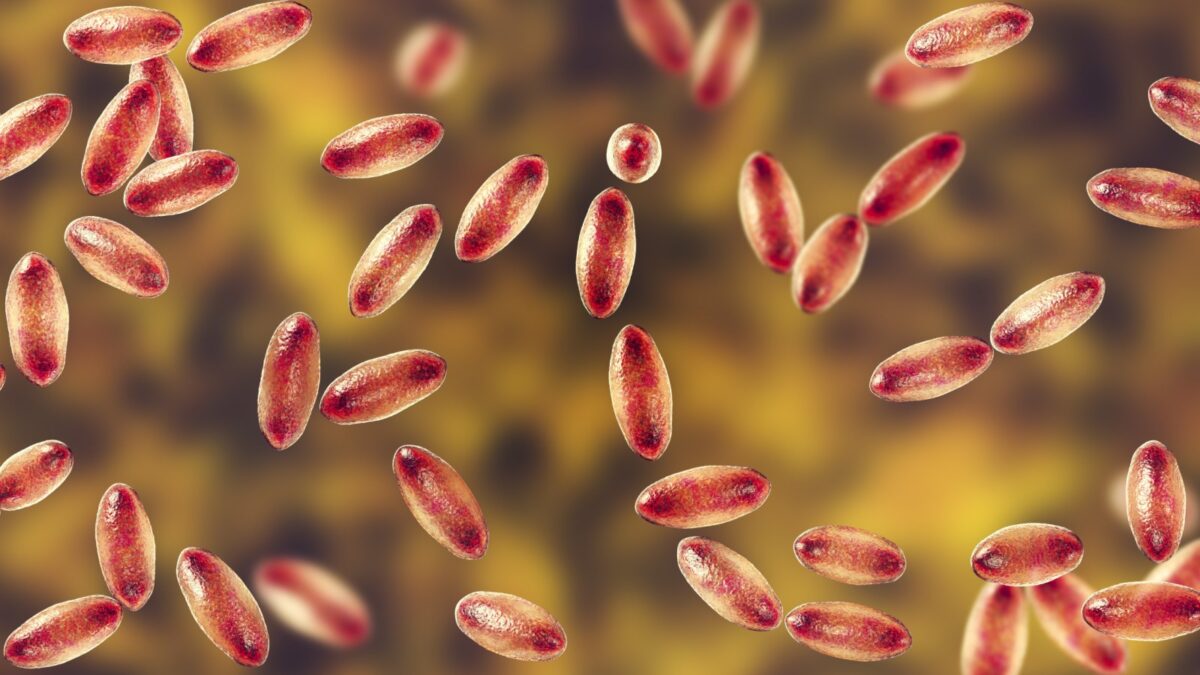 Древно ДНК разкрива тайната на първата пандемия