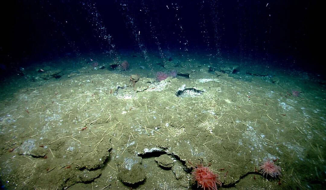 Откриха притеснително изтичане на метан край Антарктика