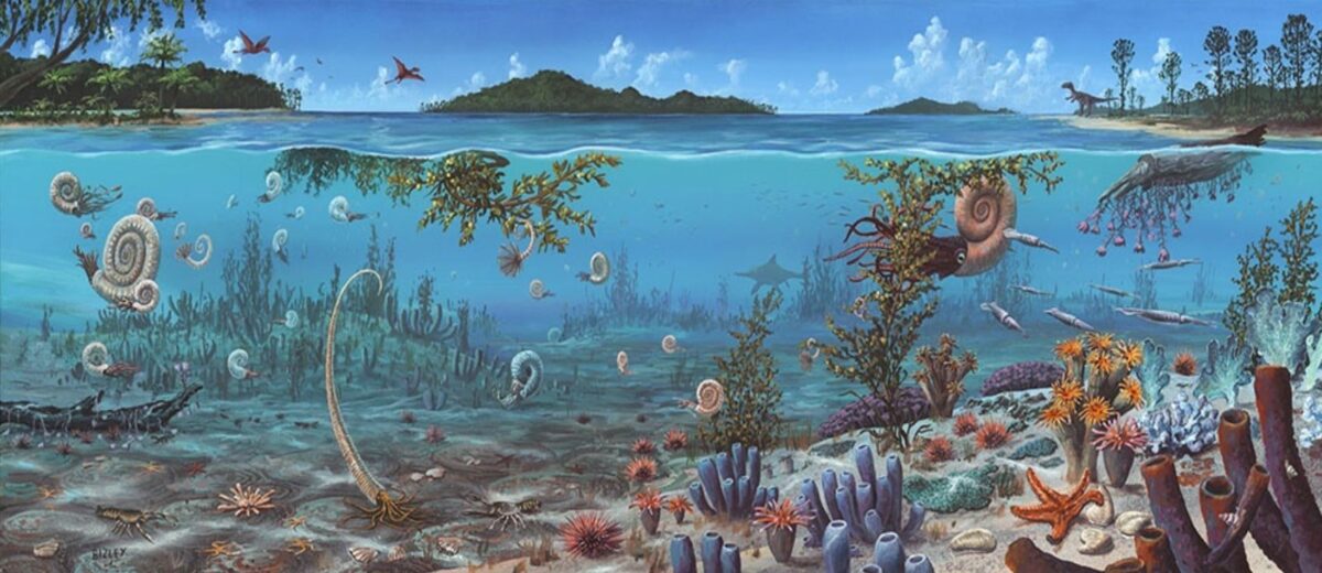 Преди 100 милиона години животно вече е използвало GPS